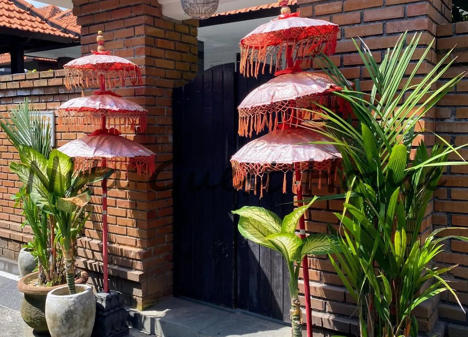 Nita Guest House Bali Canggu  Canggu (Bali)